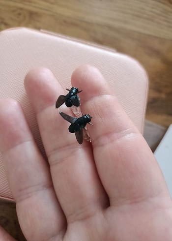 karasinek küpe - Görsel 5