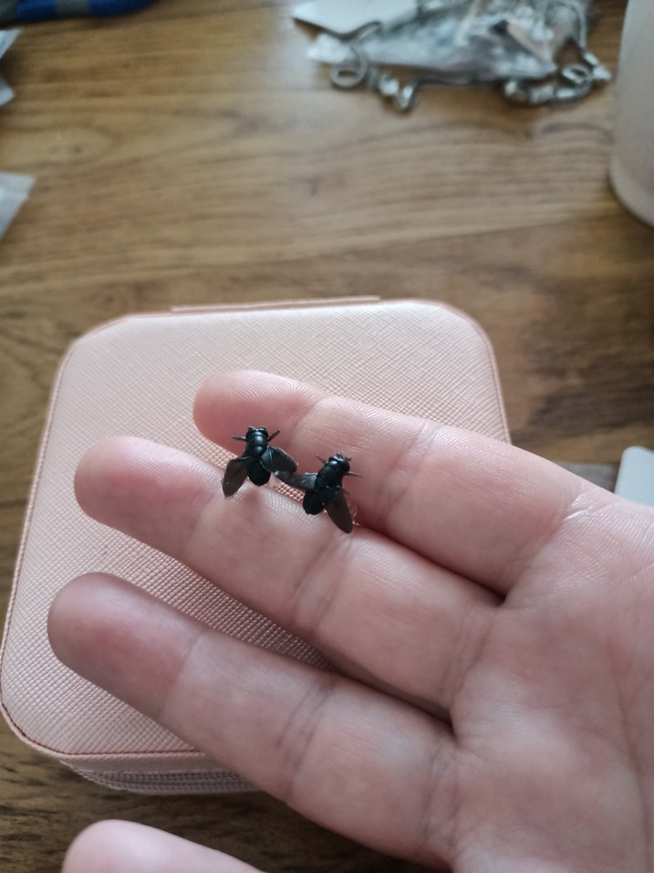 karasinek küpe - Görsel 4