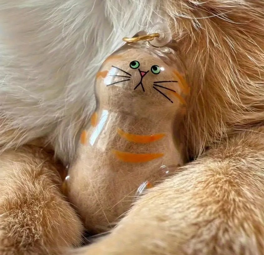 kedi tüyü saklama kutusu - Görsel 2