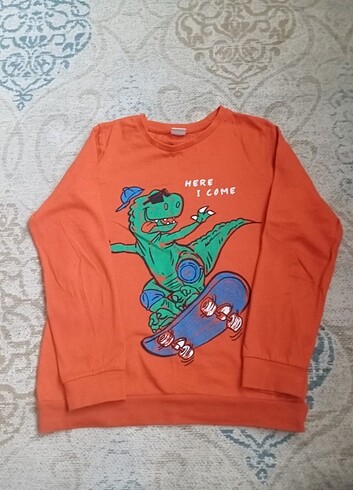 Erkek Sweatshirt 