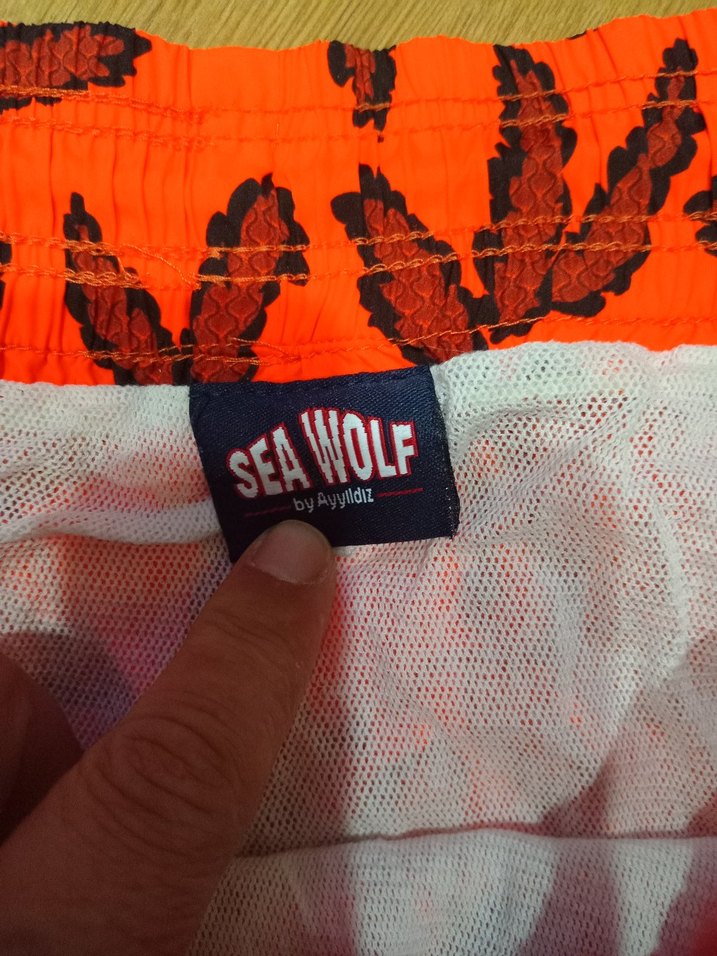 Renkli Erkek Mini Yüzme Şortu - Görsel 2