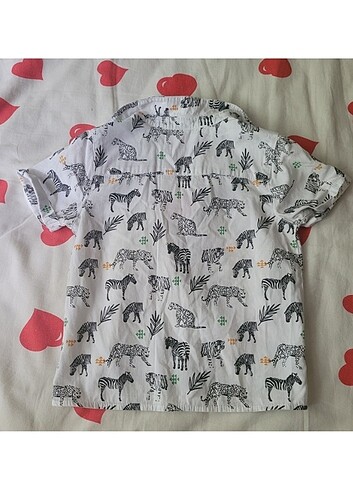 Tarz safari hayvanlı çocuk gömlek - Görsel 2