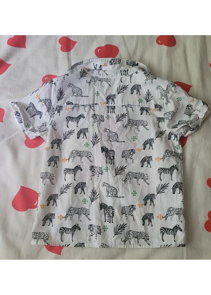 Tarz safari hayvanlı çocuk gömlek - Görsel 2