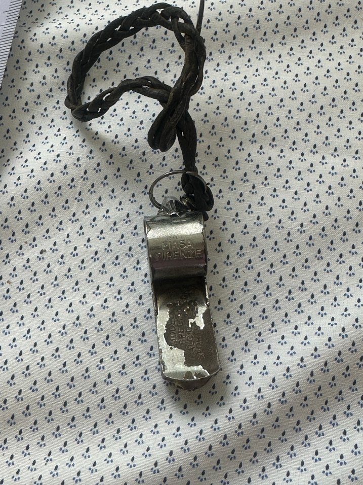 Erkek Vintage Gri ve Altın Renkli düdük - Görsel 3