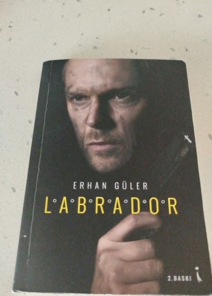 2 adet kitap - Görsel 2