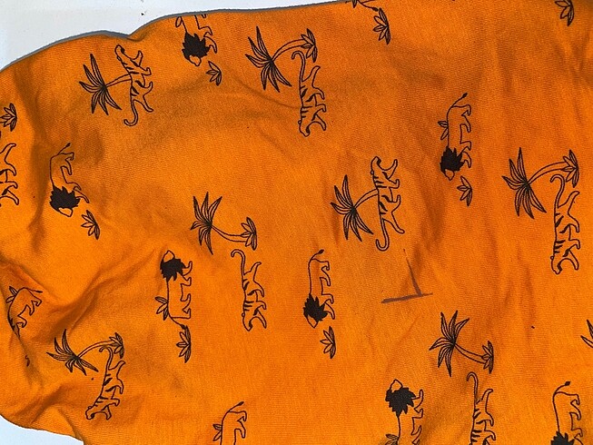 Evcil Atlet - Görsel 4