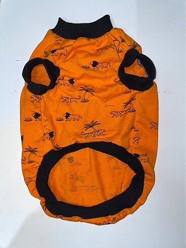 Evcil Atlet - Görsel 2