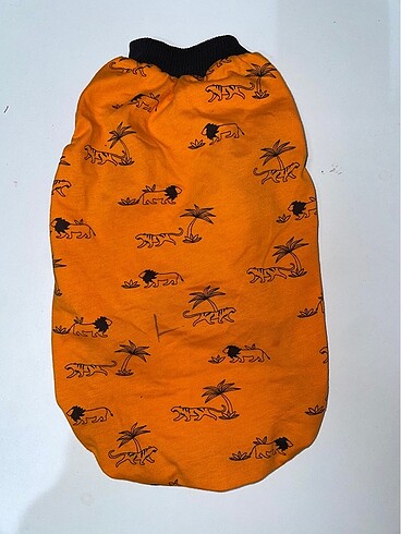 Evcil Atlet - Görsel 3