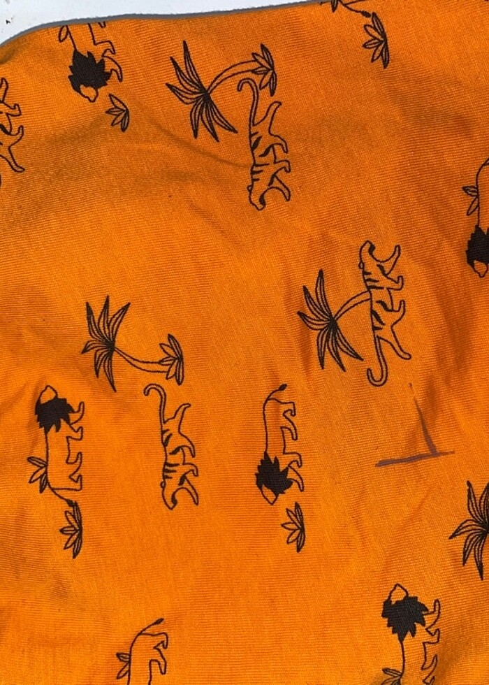 Evcil Atlet - Görsel 4