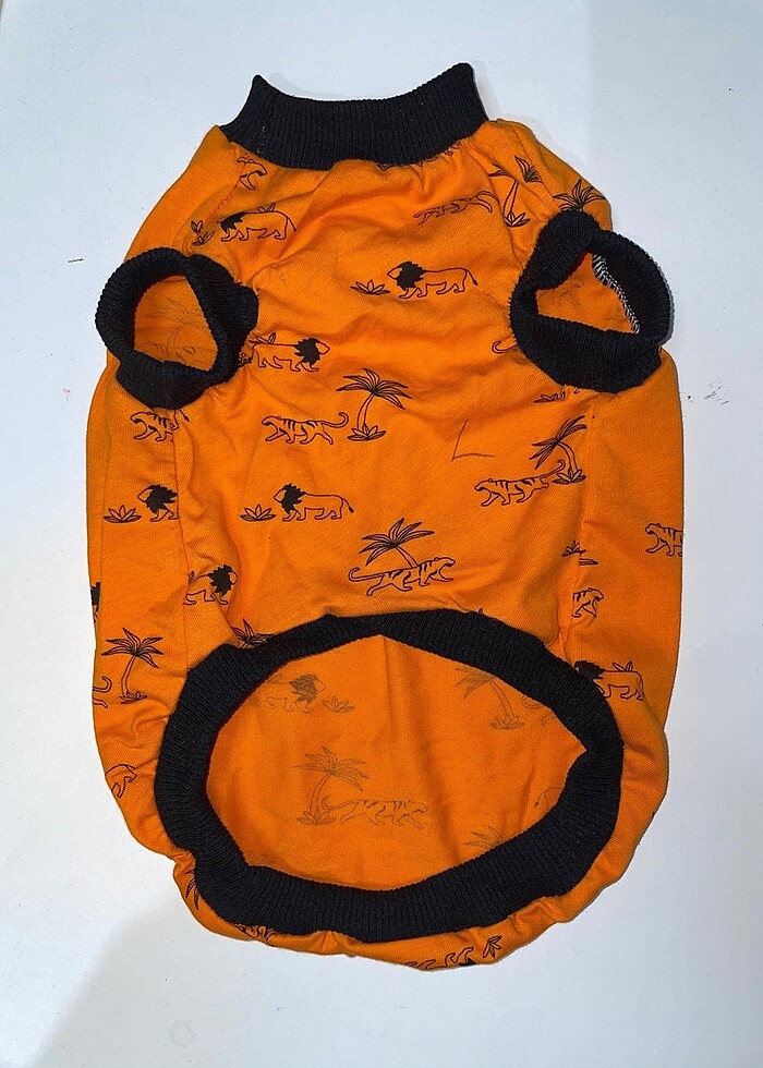 Evcil Atlet - Görsel 2