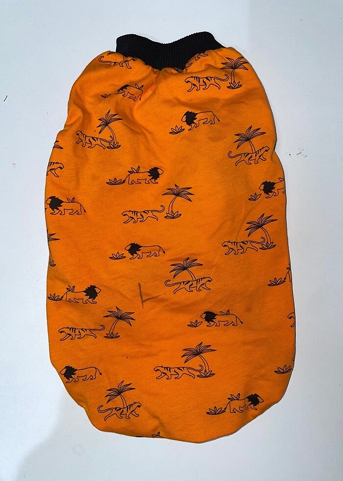 Evcil Atlet - Görsel 3