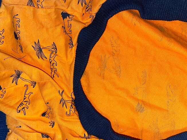 Evcil Atlet - Görsel 2