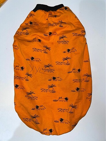 Evcil Atlet - Görsel 3