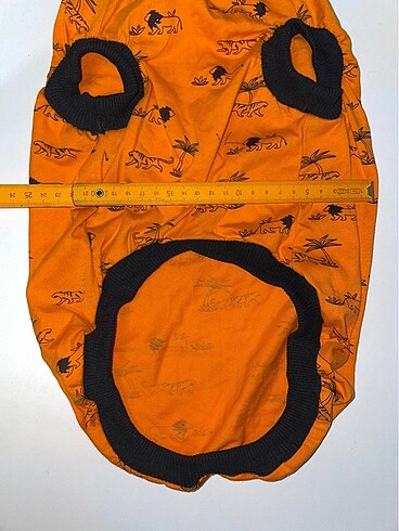 Evcil Atlet - Görsel 5