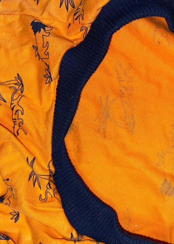 Evcil Atlet - Görsel 2