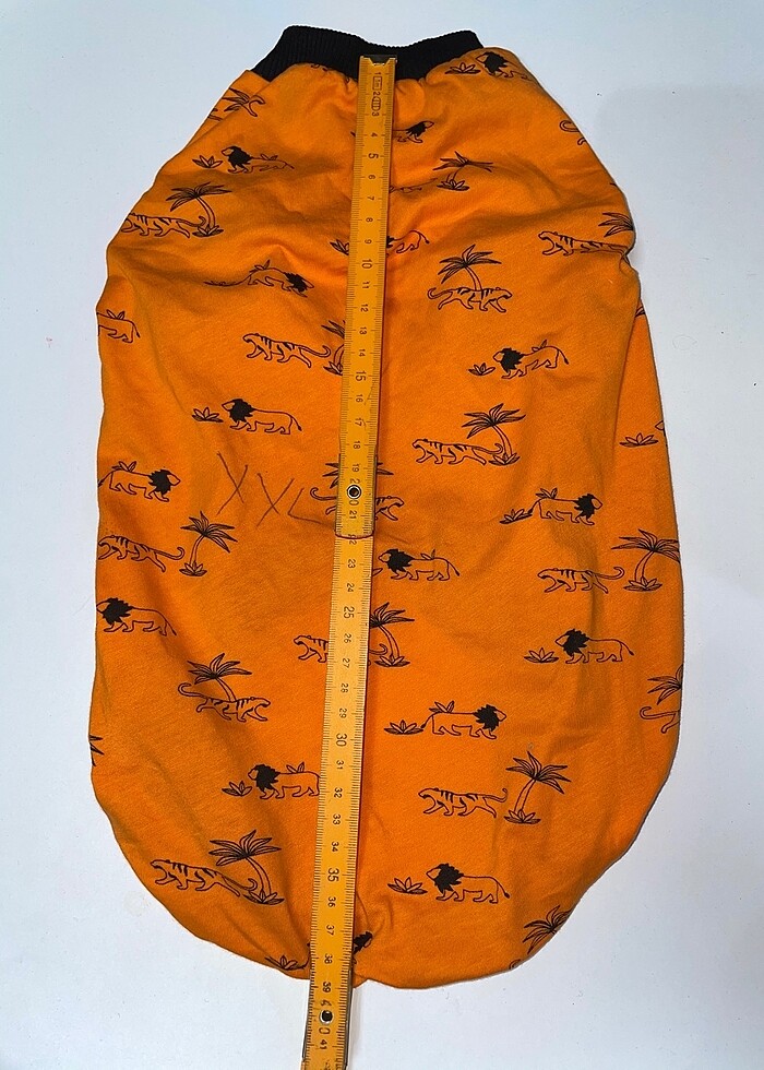 Evcil Atlet - Görsel 4