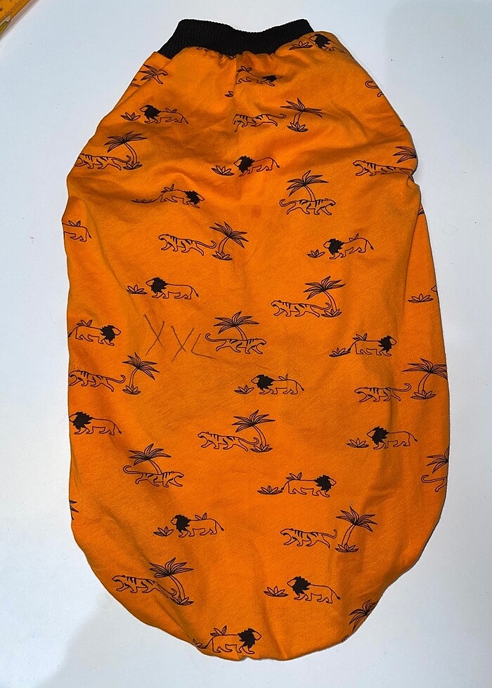 Evcil Atlet - Görsel 3