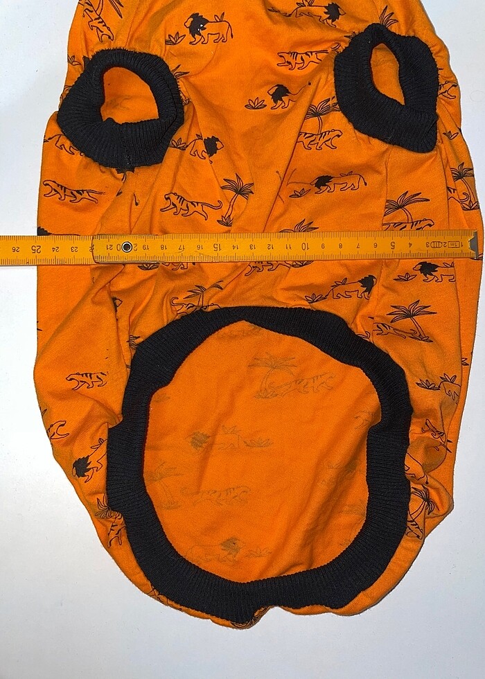 Evcil Atlet - Görsel 5