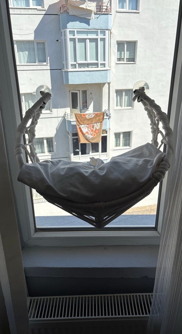 Beyaz kedi yatağı - Görsel 3