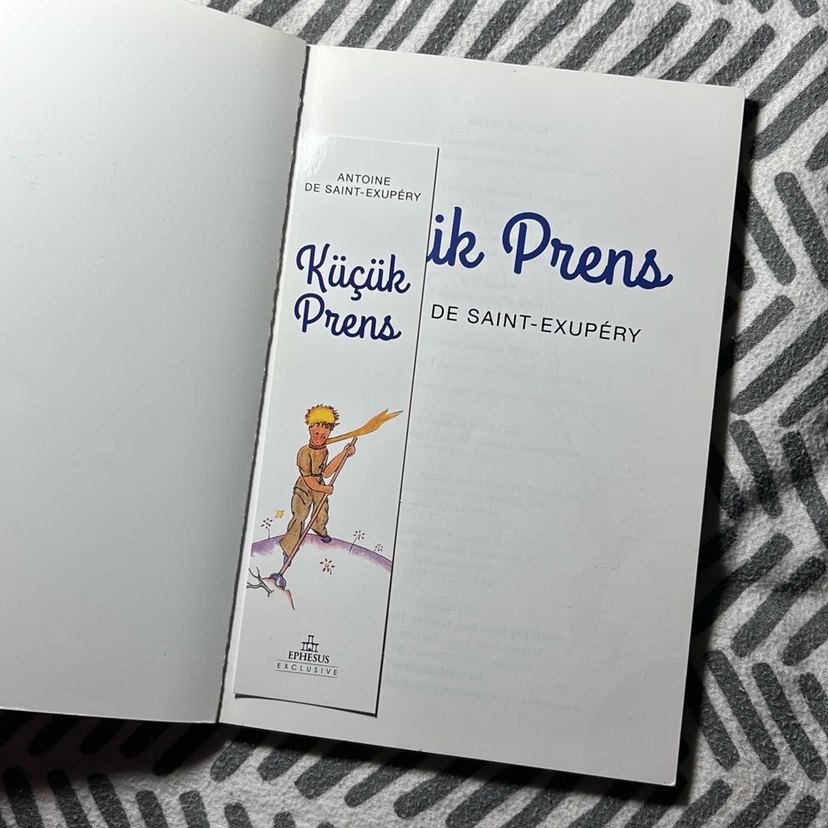 Küçük Prens - Antoine de Saint-Exupéry - Görsel 4