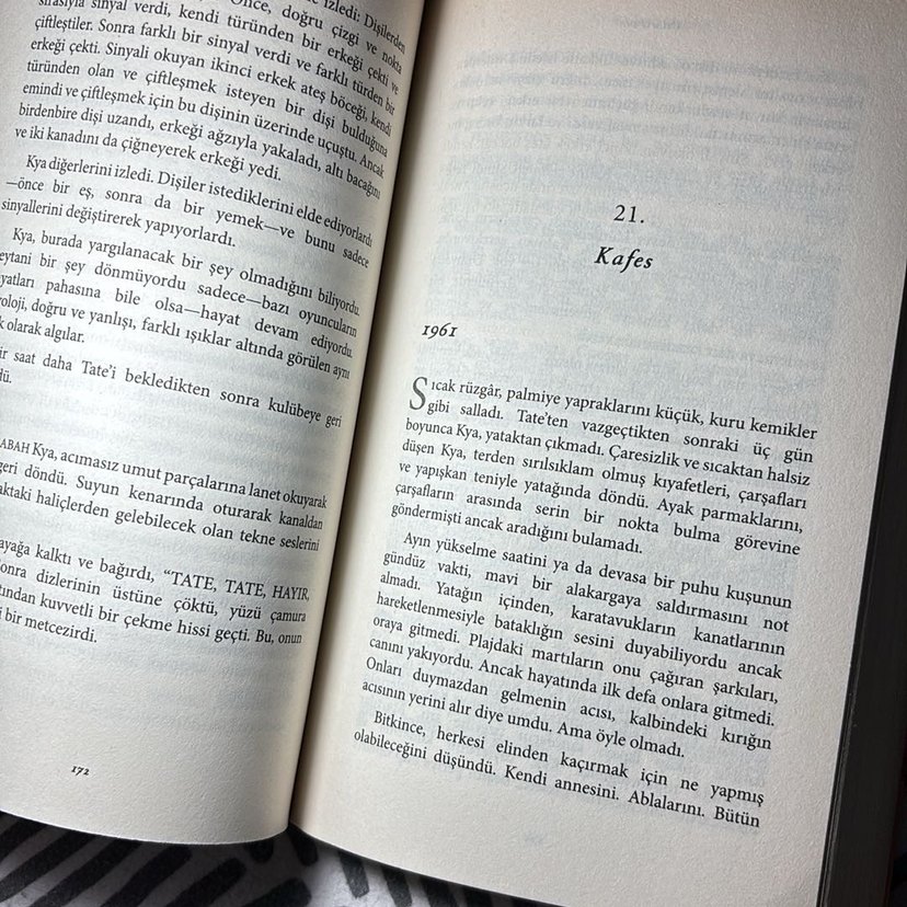 Kya'nın Şarkı Söylediği Yer - Delia Owens - Görsel 3