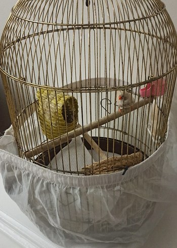 Beyaz Tüy Örtülü Kuş Kafesi - Görsel 3