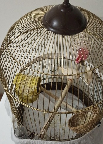 Beyaz Tüy Örtülü Kuş Kafesi - Görsel 2