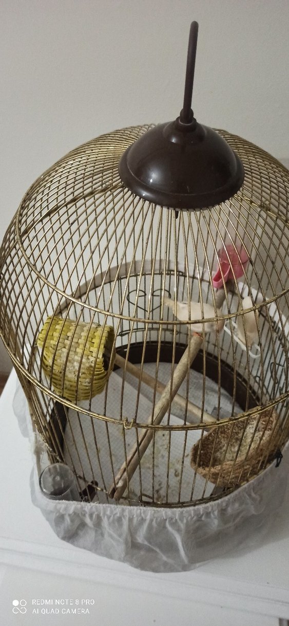 Beyaz Tüy Örtülü Kuş Kafesi - Görsel 2