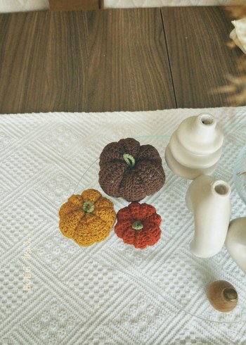 Diğer Dekoratif örgü balkabağı