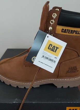 Cat Montana Bot