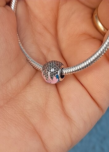 Beden çeşitli Renk Gümüş Charm