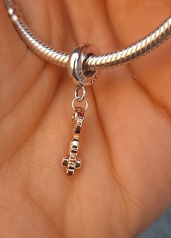 Beden ten rengi Renk Pandora Charm