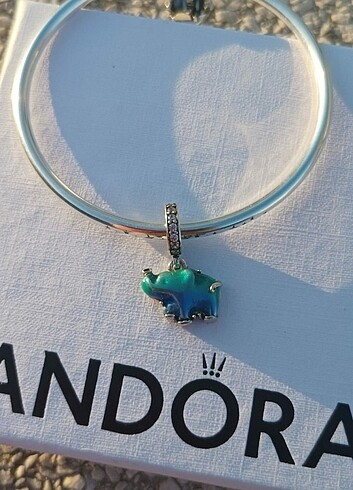 Pandora Pandora Charm