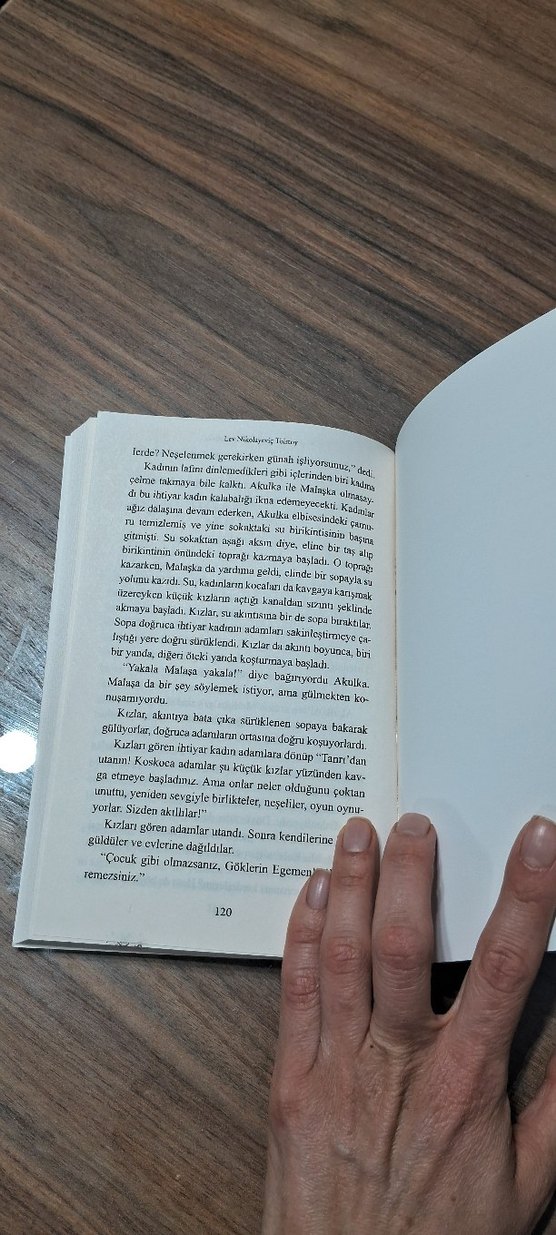 Tolstoy & İnsan Ne ile Yaşar? - Görsel 3