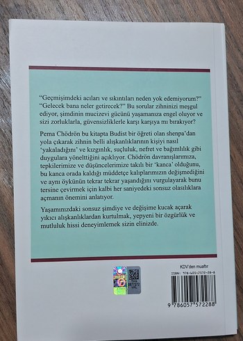 Sıçrayış - Pema Chödrön - Görsel 4