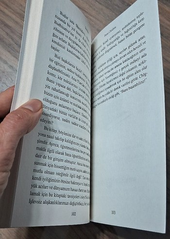 Sıçrayış - Pema Chödrön - Görsel 3