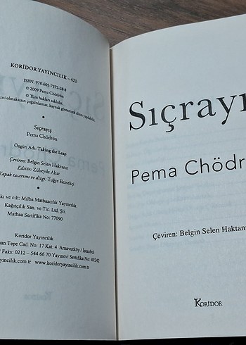 Sıçrayış - Pema Chödrön - Görsel 2