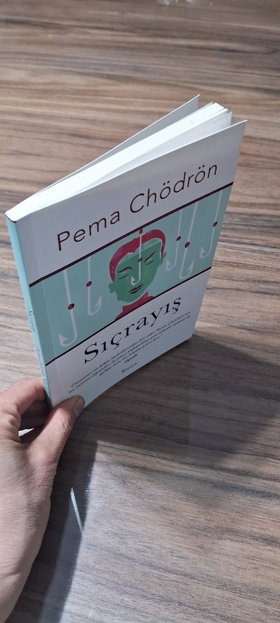 Sıçrayış - Pema Chödrön - Görsel 5