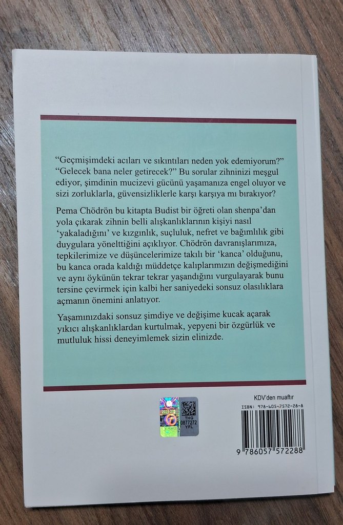 Sıçrayış - Pema Chödrön - Görsel 4