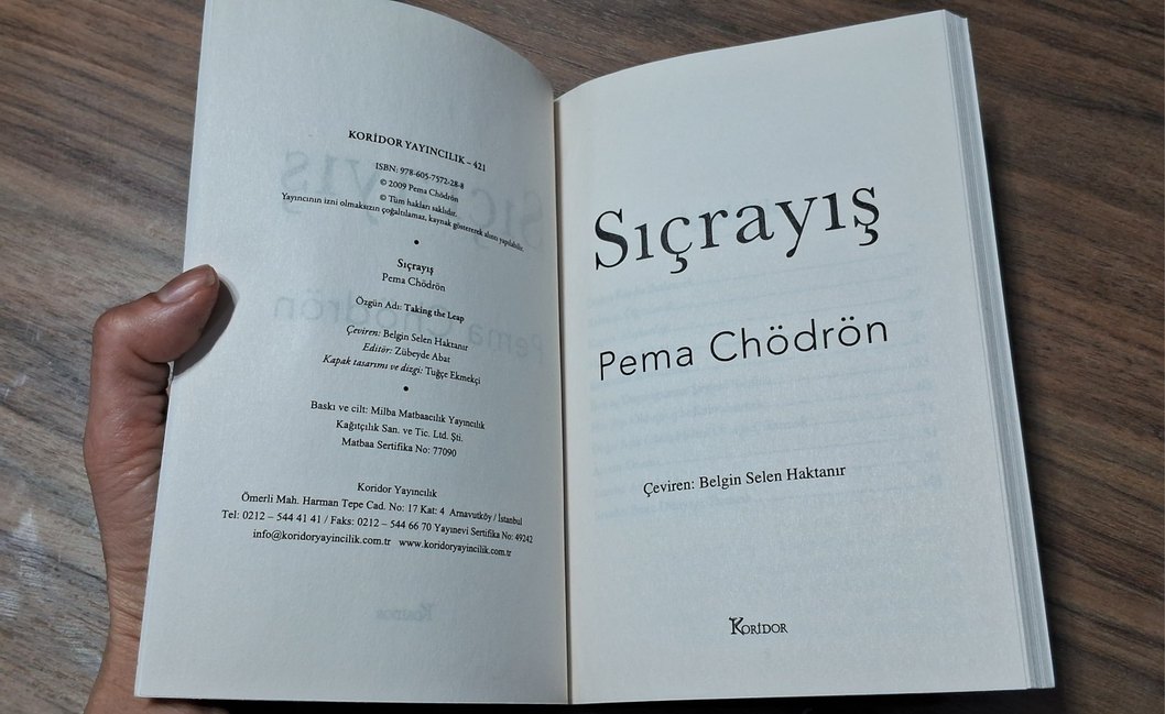 Sıçrayış - Pema Chödrön - Görsel 2