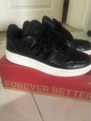 Adidas sneaker