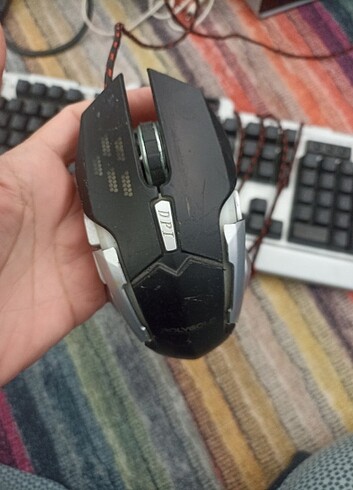  Beden Renk Polygold klavye ve mouse 