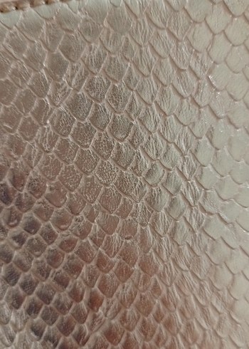 mudo Altın Renkli Yılan Derisi Desenli Kadın Çanta - Görsel 2