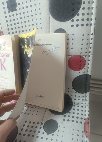  Sınır Tanımayan Aşk, Aşikar