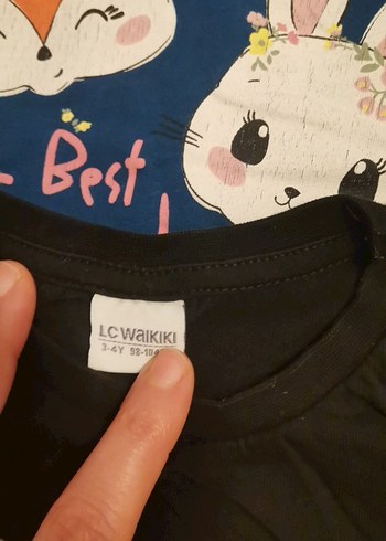 Kız Çocuk Çok Renkli Baskılı Kısa Kollu Tişört - Görsel 6