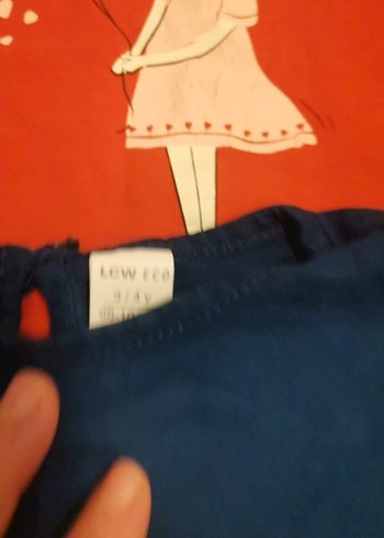 Kız Çocuk Çok Renkli Baskılı Kısa Kollu Tişört - Görsel 5