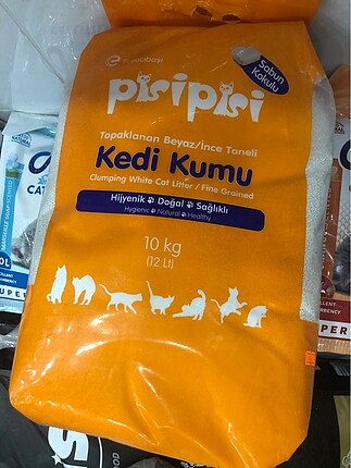 Pisi Pisi Kedi Kumu