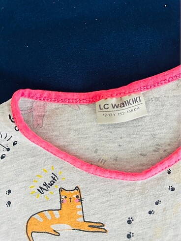 LC Waikiki Çocuk tshirt