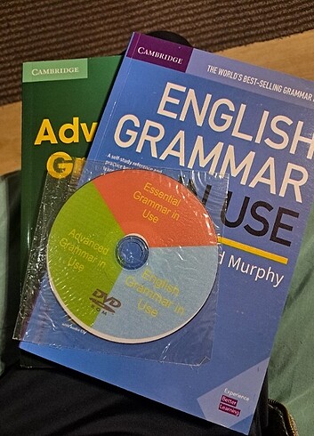 Raymond murphy ingilizce gramer kitapları 
