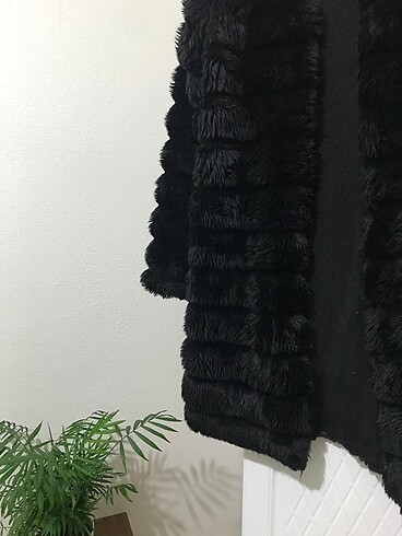 Diğer Peluş kaban